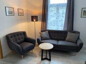 ein Wohnzimmer mit einem Sofa und einem Stuhl in der Unterkunft Apartmenthaus Zentral Bad Schandau in Bad Schandau