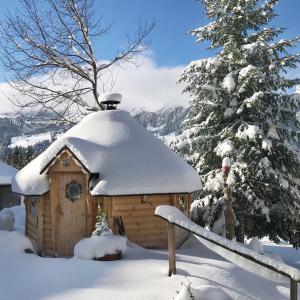 冬天的Braunbär Hotel & Spa - Former Alpine Sunstar Hotel