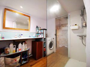 ein Badezimmer mit Dusche und Waschmaschine in der Unterkunft La maison de Thomas in Saint-Amant-de-Boixe