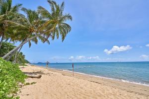 a beach with two palm trees and the ocean at Costa Royale Beachfront Apartment in Trinity Beach