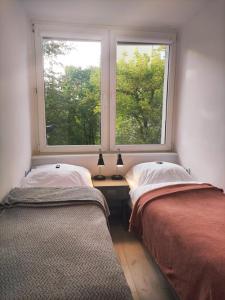 twee bedden in een kamer met twee ramen bij Apartament Matejki II - Unique Apartments in Szczecin
