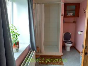 ein Bad mit Dusche, WC und Fenster in der Unterkunft Le Wayai in Sart-lez-Spa