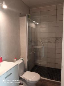 a bathroom with a toilet and a shower at L'Eldorado in Courseulles-sur-Mer