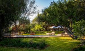 Kebun di luar Upington Inn