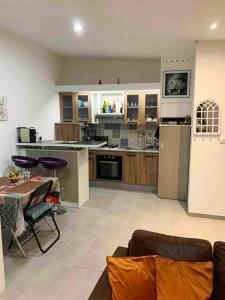 a large kitchen and living room with a couch at Studio avec jardin clos et wifi a Dijon in Dijon