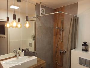 W łazience znajduje się prysznic, umywalka i lustro. w obiekcie Studio Park Śląski Katowice/Chorzów w mieście Chorzów