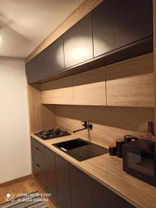 a kitchen with wooden cabinets and a sink and a stove at Studio Park Śląski Katowice/Chorzów in Chorzów