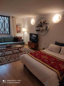 a bedroom with a bed and a couch and a tv at דירת מסע בגליל in Bet Leẖem HaGelilit