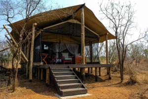 Zdjęcie z galerii obiektu Honeyguide Tented Safari Camps - Mantobeni w mieście Manyeleti Game Reserve