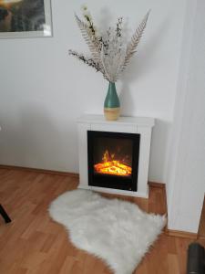 a living room with a fireplace and a white rug at Ferienwohnung Würzburg/Heidingsfeld in Würzburg