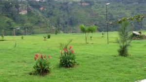 Sipi Valley Resort 야외 정원