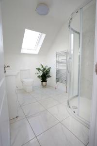 La salle de bains est pourvue d'une douche, de toilettes et d'une plante. dans l'établissement Luxury 6 Bedroom Spiddal Villa, Jacuzzi, Balcony, à Galway