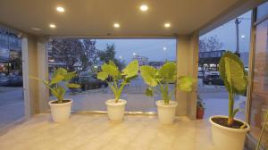 Fotografie z fotogalerie ubytování Granda Hotel v destinaci Tirana