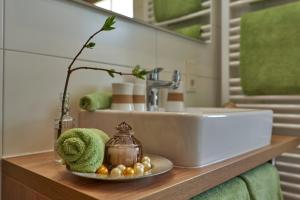 baño con lavamanos y encimera con placa en Ferienwohnungen Haus Elisabeth, en Bodenmais