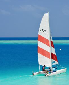 Windsurfing v hotelu nebo okolí