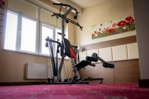 Centrum fitness w obiekcie Grein Hotel