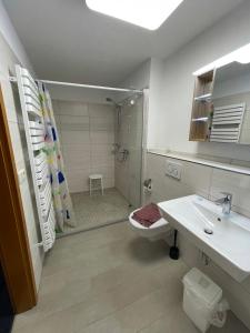 a bathroom with a shower and a toilet and a sink at Haus 13 zum Südblick in Garnbach