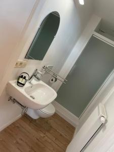 ein weißes Badezimmer mit einem Waschbecken und einem Spiegel in der Unterkunft B&B The White House in Wielsbeke