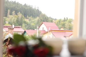 una vista da una finestra di case con una montagna di Котедж UKO a Skhidnytsia