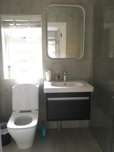 a bathroom with a toilet and a sink and a mirror at Chartleigh in Southampton