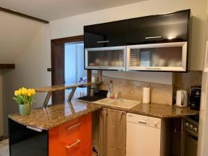 a kitchen with a counter with a sink and a microwave at Po drodze in Stronie Śląskie