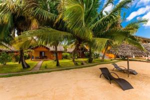 a couple of benches on a beach with palm trees at Hotel Vanivola in Sainte Marie