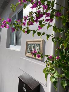 Fotografie z fotogalerie ubytování Tiana Beach Inn v destinaci Hollywood Beach