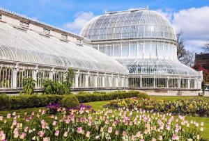 um grande edifício de vidro com flores num jardim em Belfast townhouse in prime location in Belfast City em Belfast