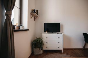 TV a/nebo společenská místnost v ubytování Apartmán Efka