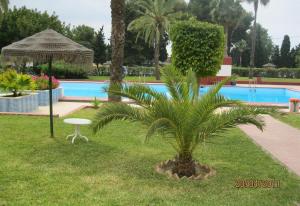 una palmera en el césped junto a una piscina en Capricho Montepino 1 Las Palomas, en La Herradura