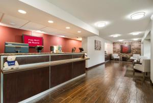 a waiting room with a teddy bear sitting at a counter at Red Roof Inn Durham - Duke Univ Medical Center in Durham