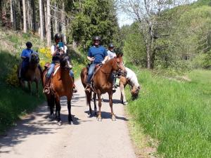 a group of people riding horses down a dirt road at Stal-escapade in Großlangenfeld