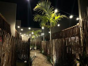 a palm tree in front of a fence at night at Naim Milagres in São Miguel dos Milagres