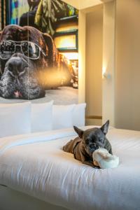 a dog laying on a bed with a toy in its mouth at The Corner London City in London