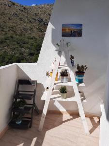 Fotografia z galérie ubytovania Cozy estudio "Edificio Siesta 2" v Alcudii
