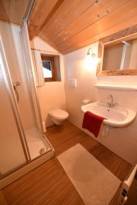 un bagno con lavandino, doccia e WC di Gallfallalm a Santa Maddalena in Casies Valbassa Altre 16 foto