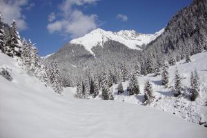Gallfallalm durante l'inverno