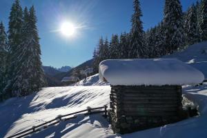 Gallfallalm durante l'inverno