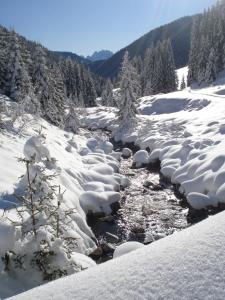 Gallfallalm durante l'inverno