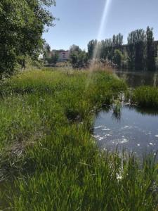 a field of grass next to a lake with a rainbow at EL DESVÁN in Santa Marta de Tormes