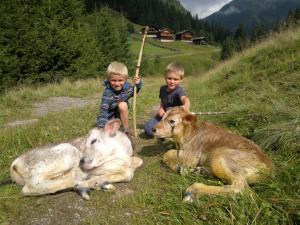 Altri animali domestici presso lo chalet o nei dintorni