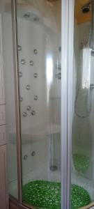 a shower with a glass door with a green floor at EL DESVÁN in Santa Marta de Tormes