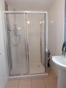 a shower stall in a bathroom with a sink at Cottage by the river in Cenarth with fishing and Wifi in Cenarth