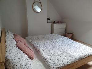 Vuode tai vuoteita majoituspaikassa Apartmány Břachovna