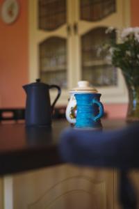 dos jarrones azules sentados en un mostrador en una cocina en The Village Inn, en Mayo
