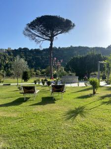 einen Park mit zwei Stühlen und einem Baum im Gras in der Unterkunft Tenuta calidarius in Baia