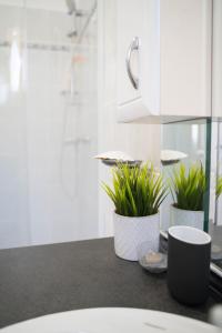 une cuisine avec deux plantes en pot sur un comptoir dans l'établissement Sunny Garden, à Zánka