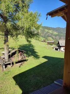 Ein Schatten eines Baumes auf einem Feld mit Schafen in der Unterkunft Apartments B&B Pretermo in Abtei