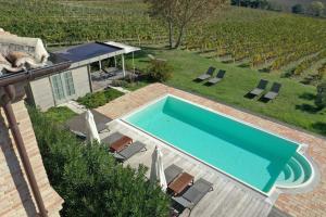 vista sul soffitto di una piscina accanto a un vigneto di La Vita Nuova Appartements - Appart B&B a Morro dʼAlba