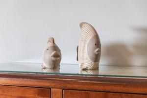 Fotografie z fotogalerie ubytování Maris v Rabu